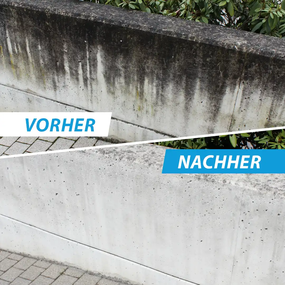 Stein Reiniger Boden und Wand vorher-nachher Vergleich Mauer