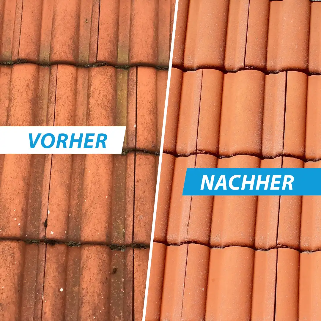 Dachziegel Reiniger vorher-nachher Vergleich Dachziegel