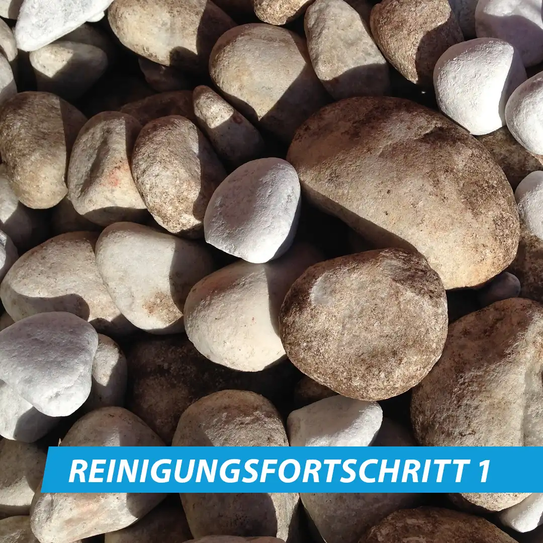 Zierkiesreiniger – Bild 3