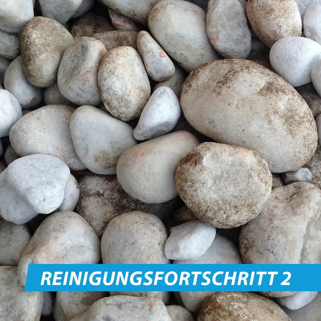 Zierkiesreiniger – Bild 4