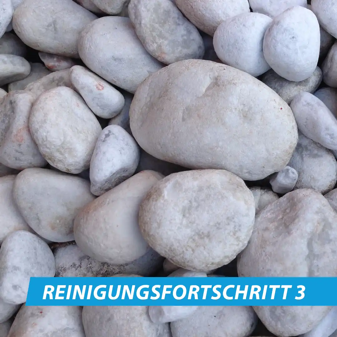 Zierkiesreiniger – Bild 5