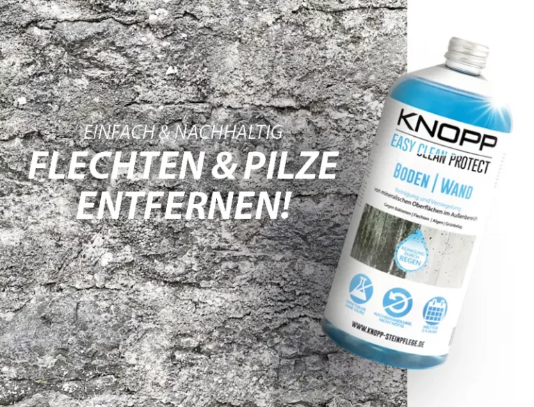 Stein Reiniger Boden-Wand jetzt kaufen