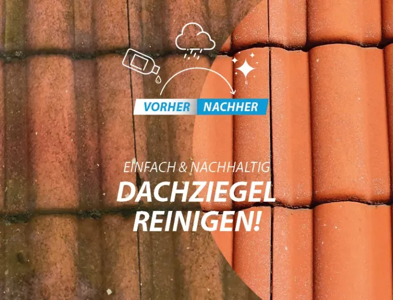Dachziegel reinigen vorher-nachher mobil