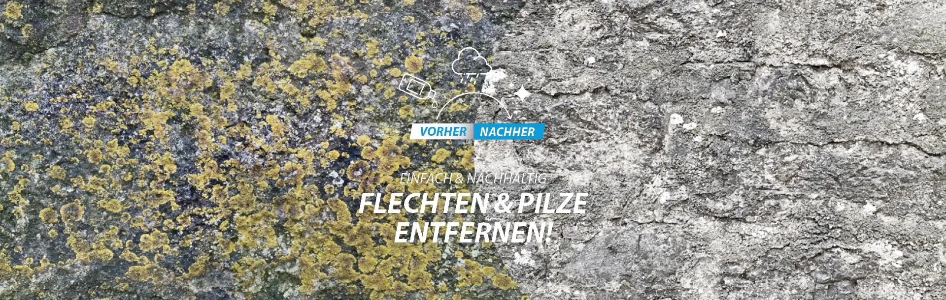knopp-steinpflege_ratgeber_flechten-entfernen_1920x610px Flechten entfernen vorher-nachher