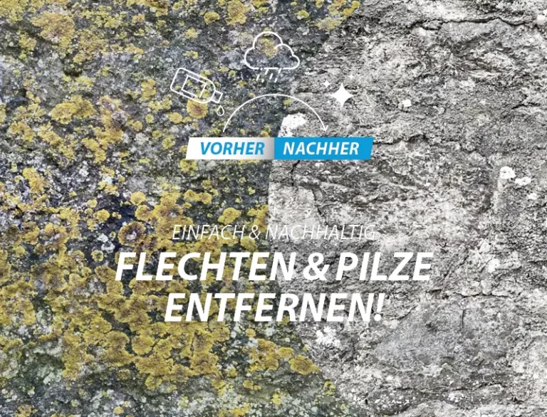 Flechten entfernen vorher-nachher mobil