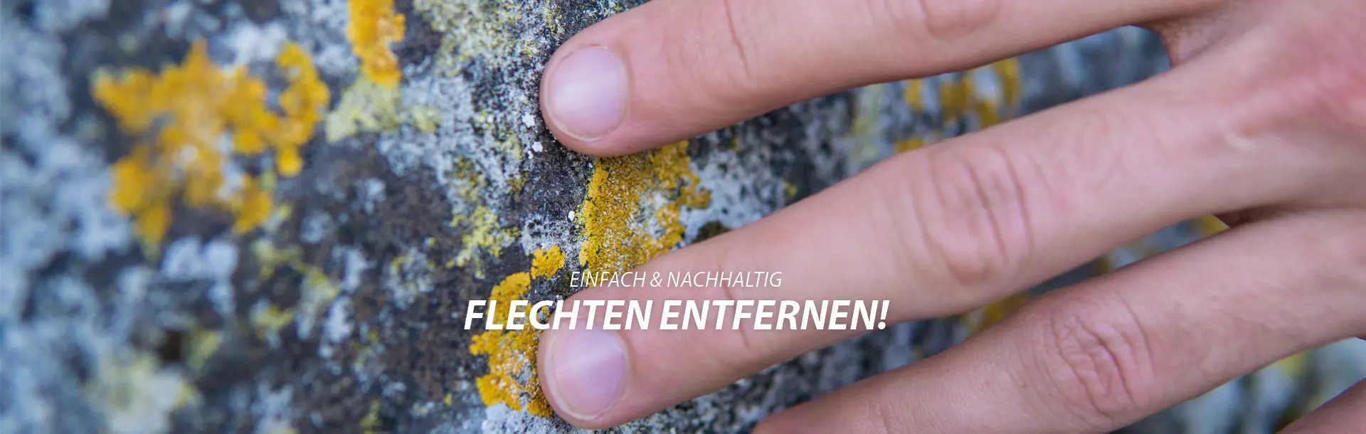 knopp-steinpflege_ratgeber_flechten_1920x610px Flechten entfernen
