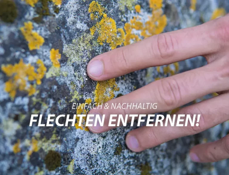 Flechten entfernen mobil