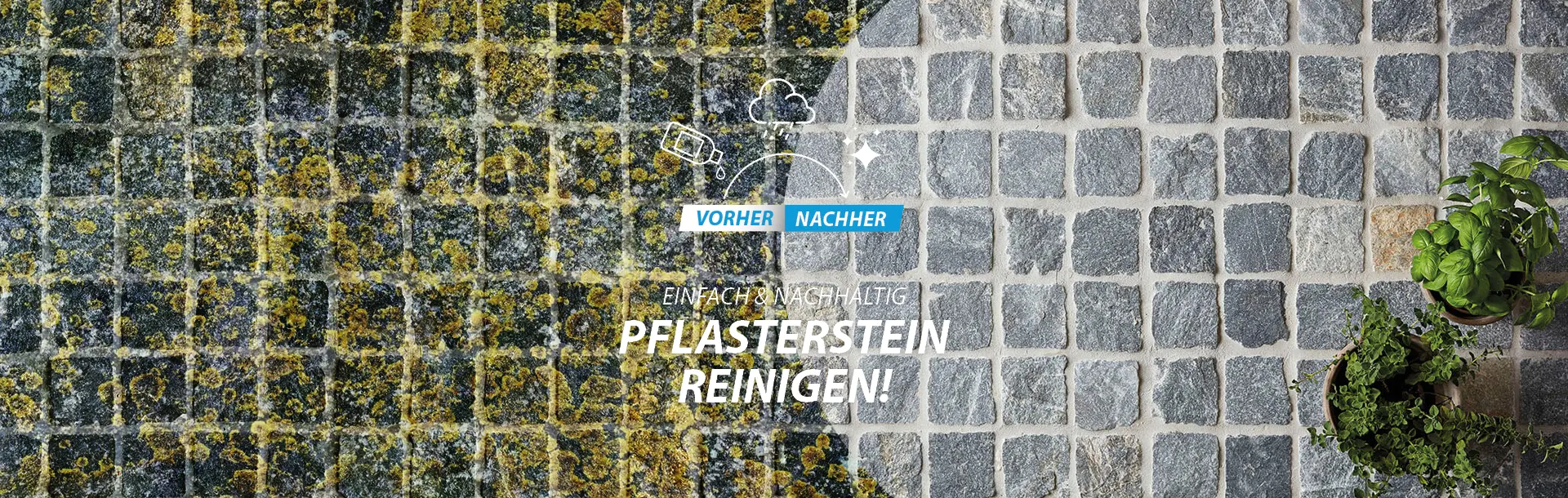 Pflasterstein reinigen vorher-nachher