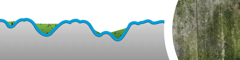 Knopp Steinpflege Wirkungsweise 2