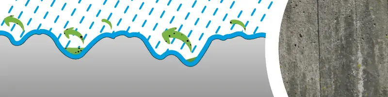 Knopp Steinpflege Wirkungsweise 3